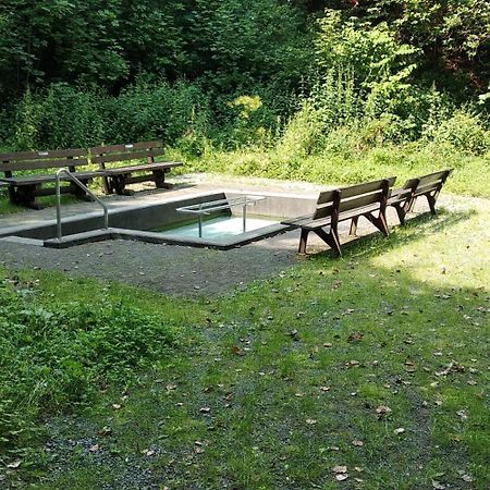 Bergzeit In Langewiese - Appartment Landelijke Star Winterberg Luaran gambar
